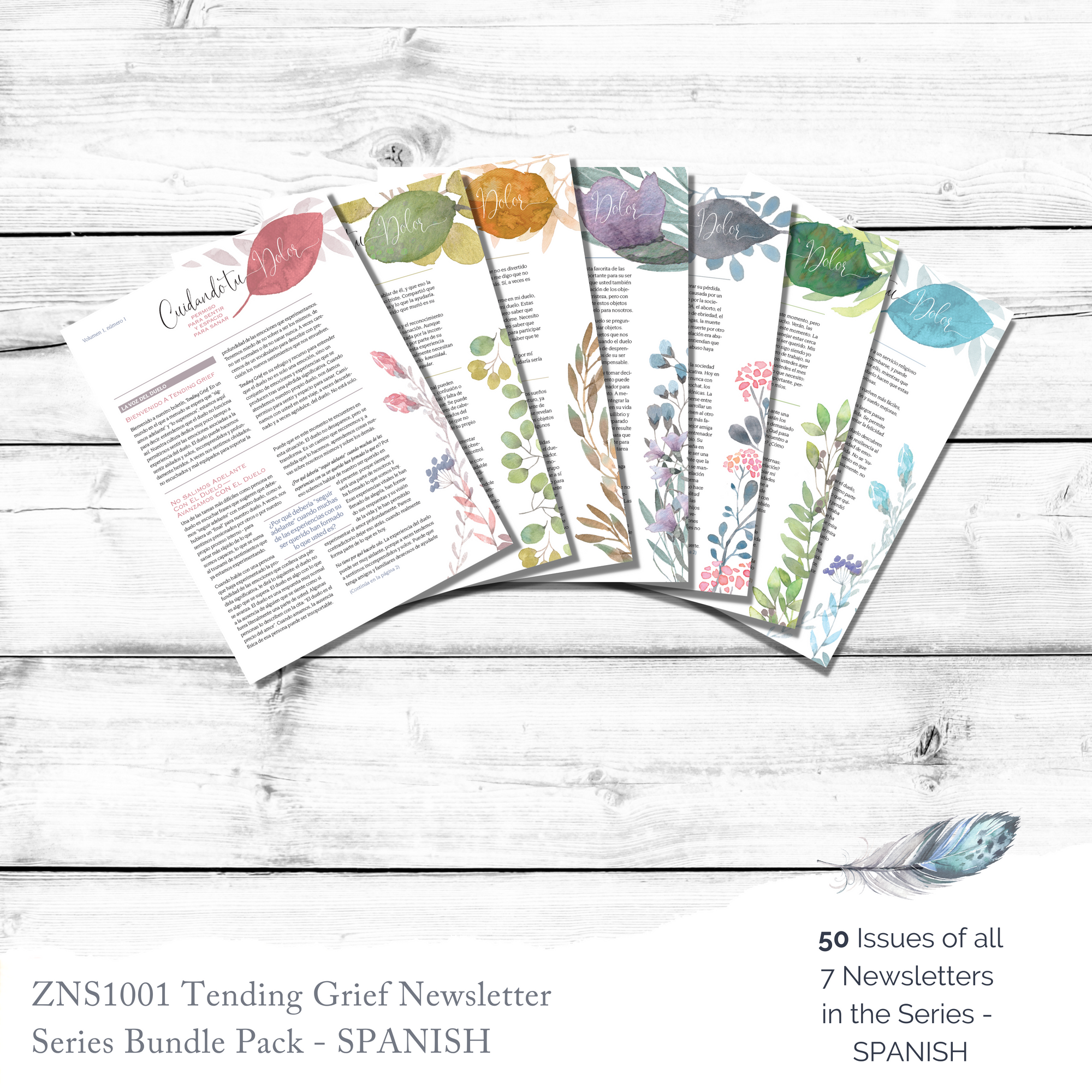 ZNS1001 | SPANISH Tending Grief Newsletter Series Bundle Pack (50 issues of all 7 issues in series)