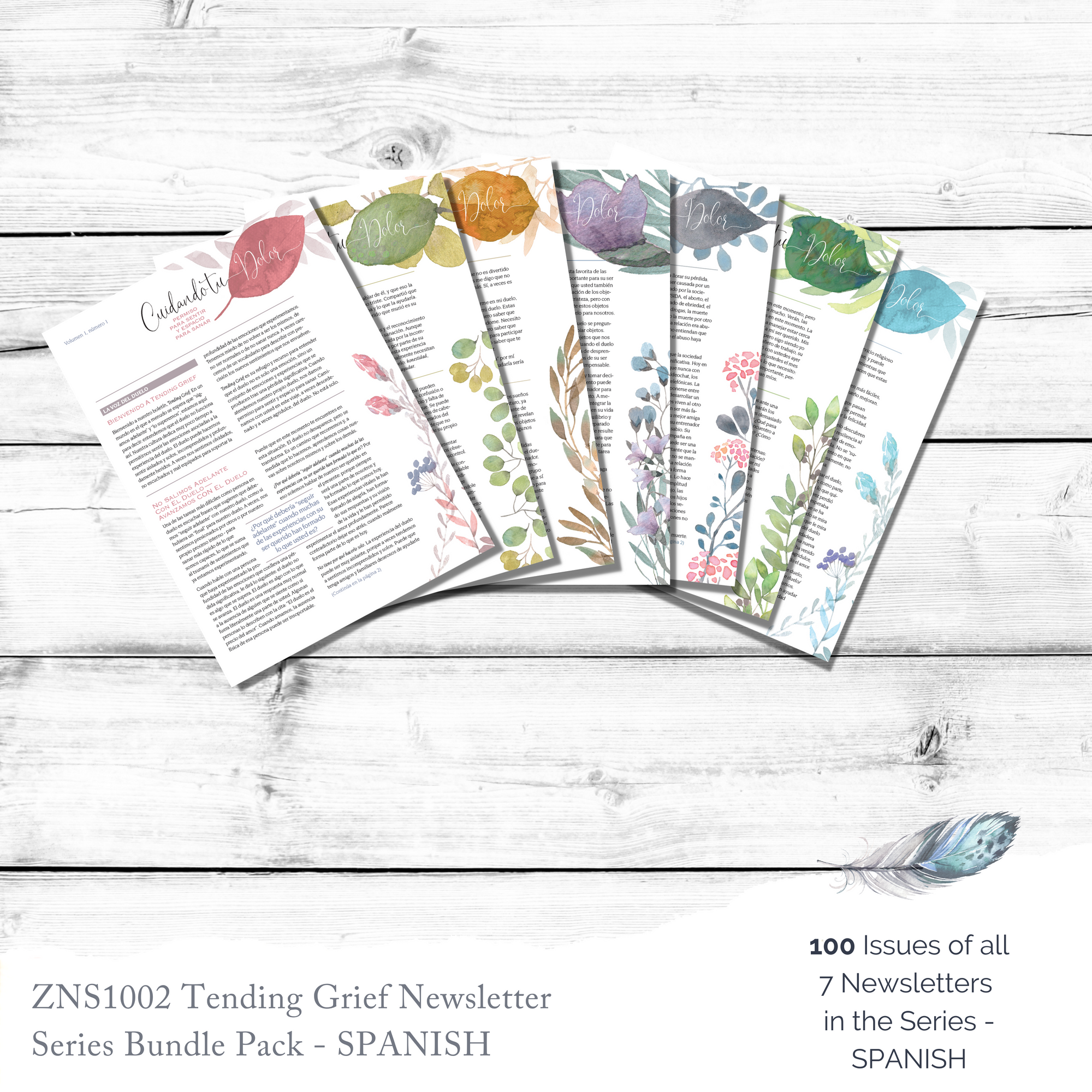 ZNS1002 | SPANISH Tending Grief Newsletter Series Bundle Pack (100 issues of all 7 issues in series)